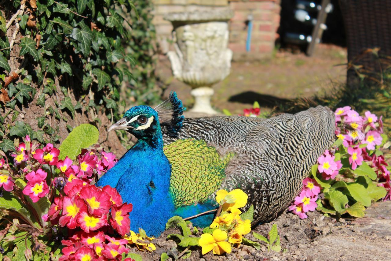 Powdermills Country House Hotel Battle Dış mekan fotoğraf
